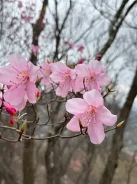写メ日記 まいな 5/1(金) 08:54