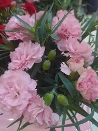 写メ日記 ゆず 5/1(金) 19:51