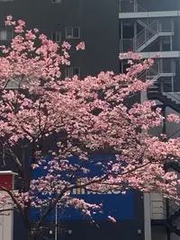 写メ日記 ほたる 5/4(月) 15:09
