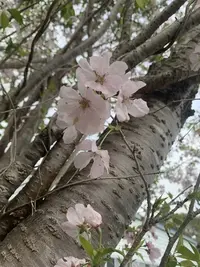 写メ日記 ほたる 5/4(月) 22:14