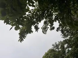 写メ日記 みだら 5/6(水) 15:25