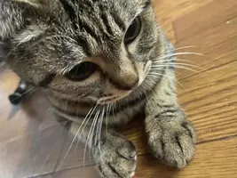 写メ日記 えま 5/6(水) 22:04