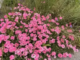 写メ日記 みだら 5/7(木) 09:51