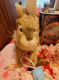 写メ日記 あいる 5/7(木) 10:59