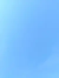 写メ日記 さくら 5/7(木) 19:23