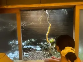 写メ日記 ももの 5/8(金) 23:17