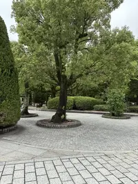 写メ日記 みき 5/9(土) 18:57
