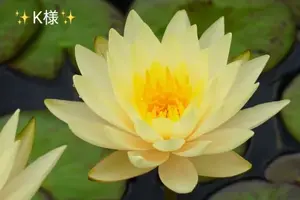 写メ日記 小山真帆 5/9(土) 20:08
