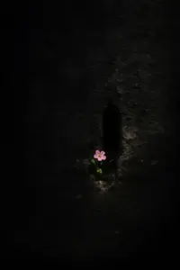 写メ日記 さく 5/13(水) 01:51