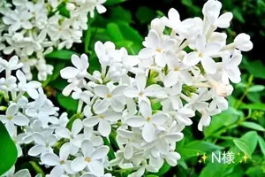 写メ日記 小山真帆 5/13(水) 11:06
