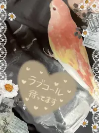 写メ日記 こい 5/14(木) 22:20