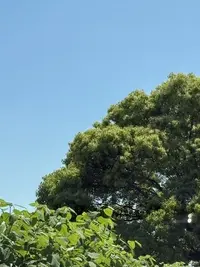 写メ日記 みき 5/15(金) 00:15