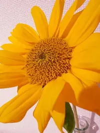 写メ日記 めるる 5/19(火) 09:34