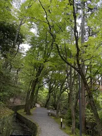 写メ日記 らら 5/20(水) 20:04