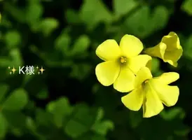 写メ日記 小山真帆 5/21(木) 10:36