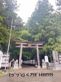 写メ日記 すみ 5/21(木) 15:34