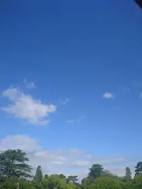 写メ日記 いちか 5/22(金) 07:51