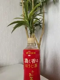 写メ日記 加納 しほ 5/22(金) 12:23
