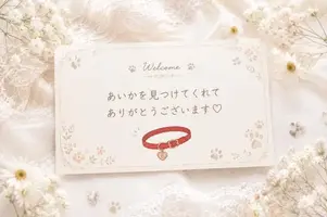 写メ日記 あいか 5/22(金) 21:28