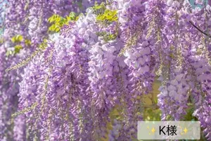 写メ日記 小山真帆 5/23(土) 00:25