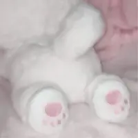 写メ日記 ゆずは 5/24(日) 12:19