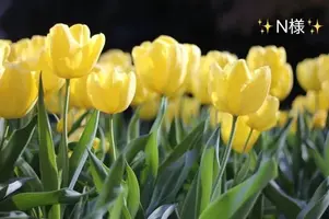写メ日記 小山真帆 5/24(日) 18:44