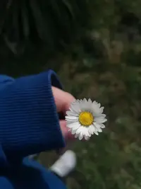 写メ日記 さく 5/30(土) 03:01