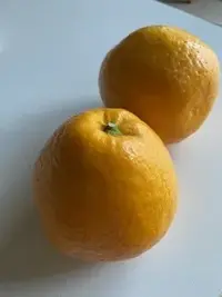 写メ日記 加納　しほ 5/30(土) 16:04