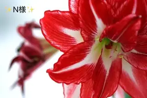 写メ日記 小山真帆 5/30(土) 20:20