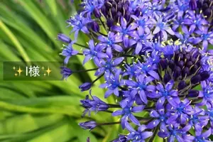 写メ日記 小山真帆 5/30(土) 21:36