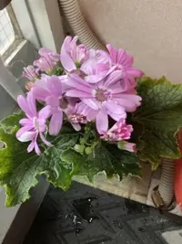 写メ日記 山中瞳 6/9(火) 11:44