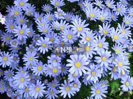 写メ日記 小山真帆 6/10(水) 19:54