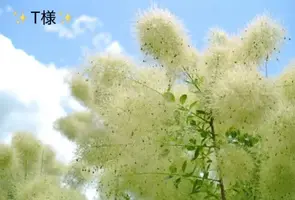 写メ日記 小山真帆 6/18(木) 20:42