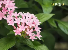 写メ日記 小山真帆 6/21(日) 07:56
