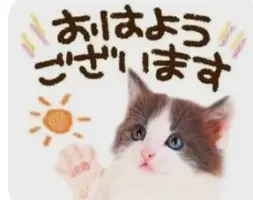 写メ日記 大島かおり 7/7(火) 09:28