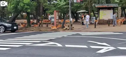 写メ日記 まつり 7/8(水) 13:53