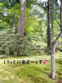 写メ日記 すみ 7/13(月) 15:54