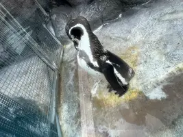 写メ日記 まこと 7/19(日) 09:56