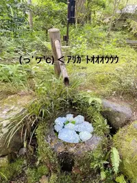 写メ日記 すみ 7/19(日) 12:34