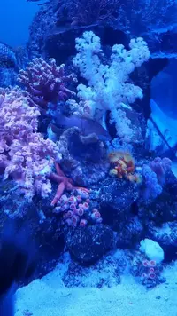 写メ日記 あかね 7/24(金) 09:41