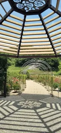 写メ日記 ひなの 7/25(土) 09:38