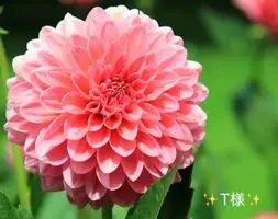 写メ日記 小山真帆 7/30(木) 09:26