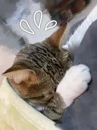 写メ日記 さわ 8/8(土) 14:52