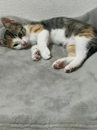 写メ日記 はな 8/10(月) 12:05
