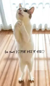 写メ日記 すみ 8/21(金) 22:14