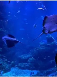 写メ日記 あみ 8/26(水) 09:48