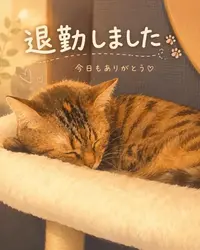 写メ日記 せい 8/27(木) 02:30