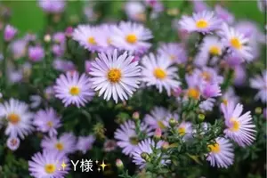 写メ日記 小山真帆 8/27(木) 18:16