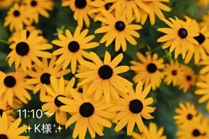 写メ日記 小山真帆 9/25(金) 19:04