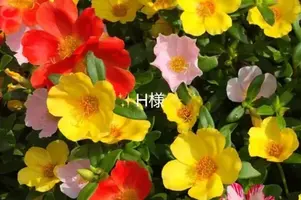 写メ日記 小山真帆 10/1(木) 21:40